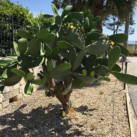 Malacala Calabernardo