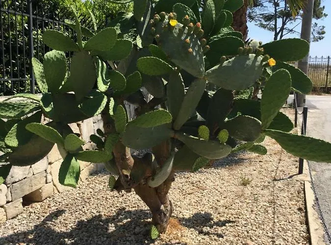 Malacala Calabernardo